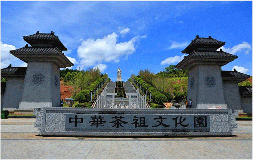 动图.gif 动图.gif