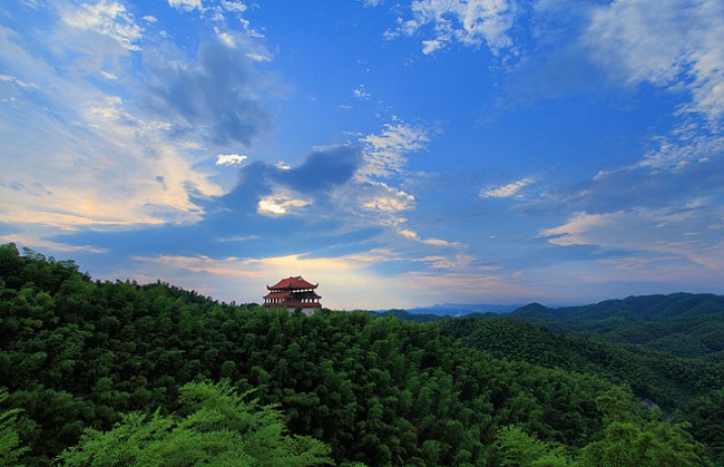 益阳竹海.jpg